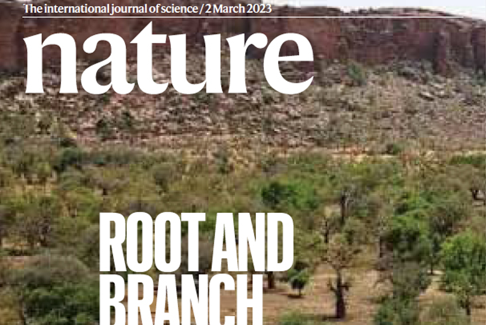 Part of the cover of the March issue of Nature showing an arid climate with stunted trees and the words 